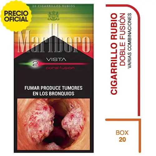 MALBORO Fusión XL Box20 (x10)
